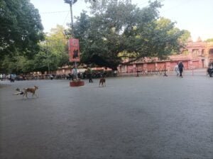 Parking area in front of Vishwanath Temple BHU Varanasi best scaled
