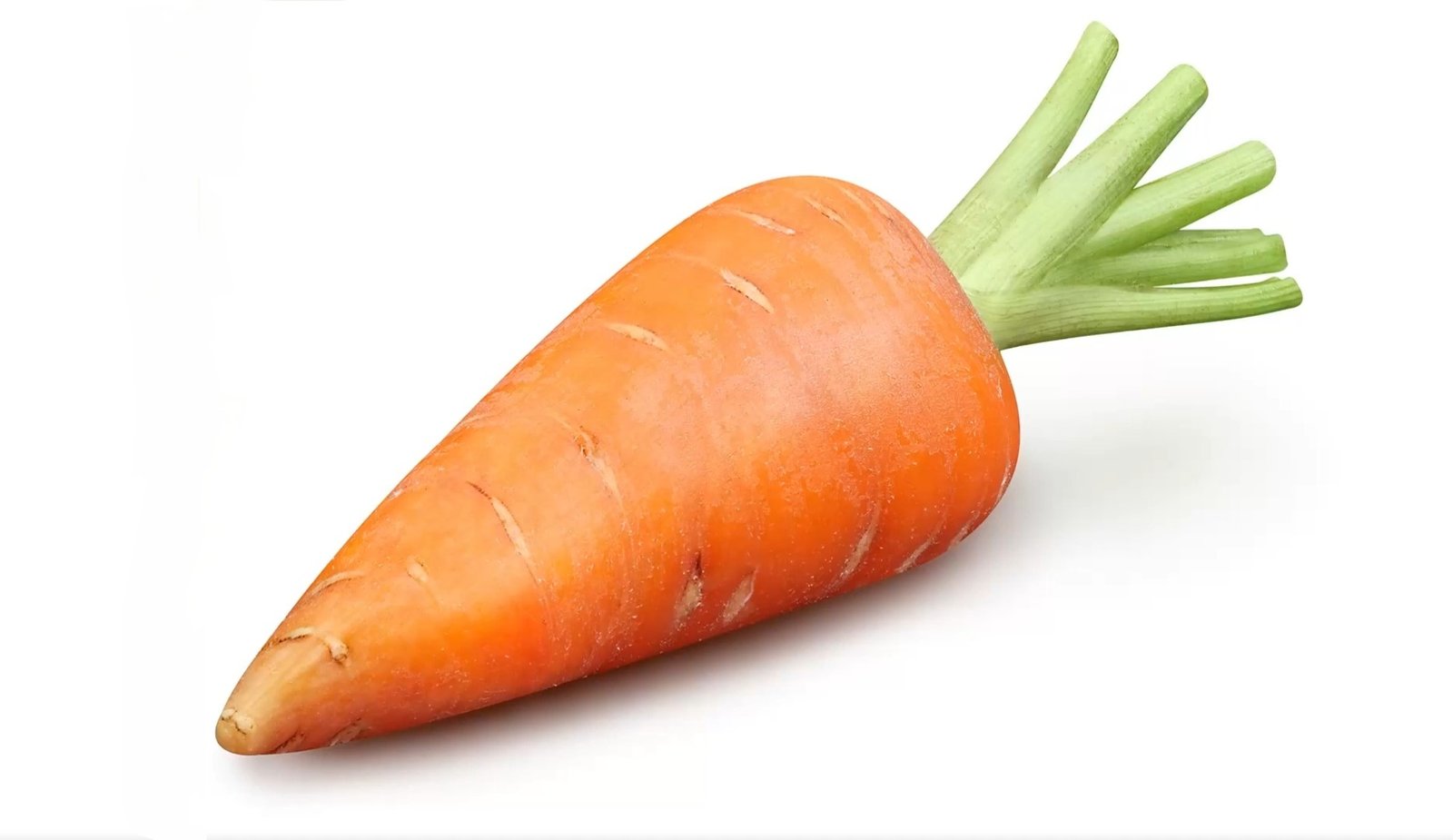 Carrot