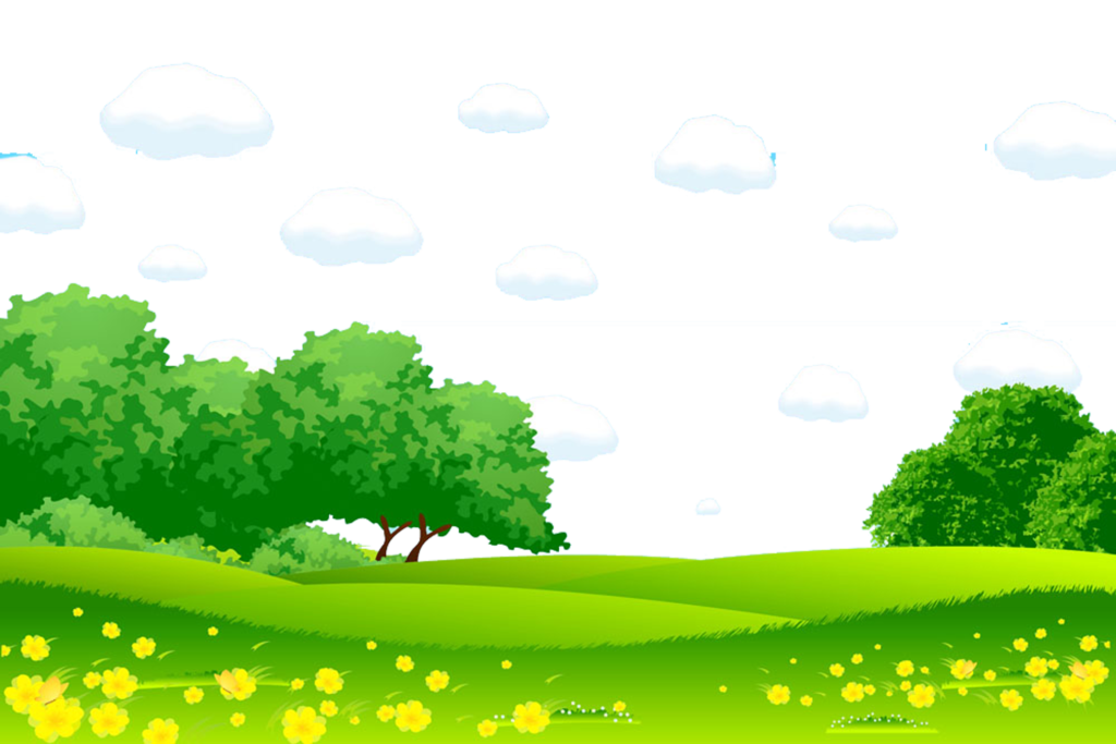 Grass