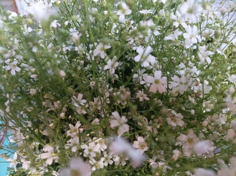 IMG 20230519 175758 scaled