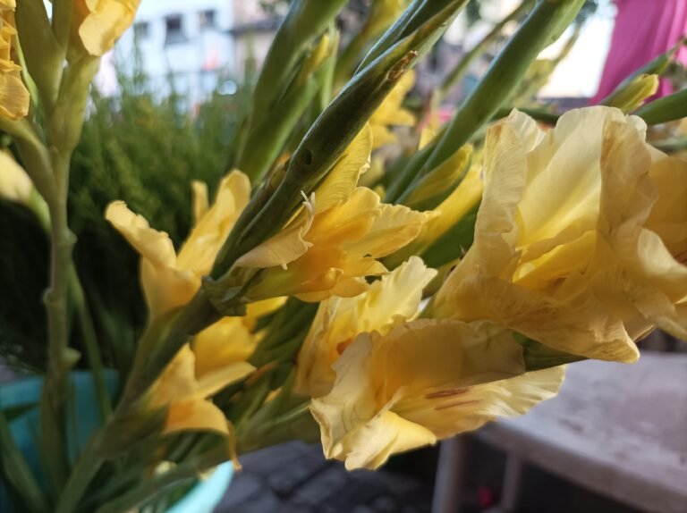 IMG 20230519 175809 scaled