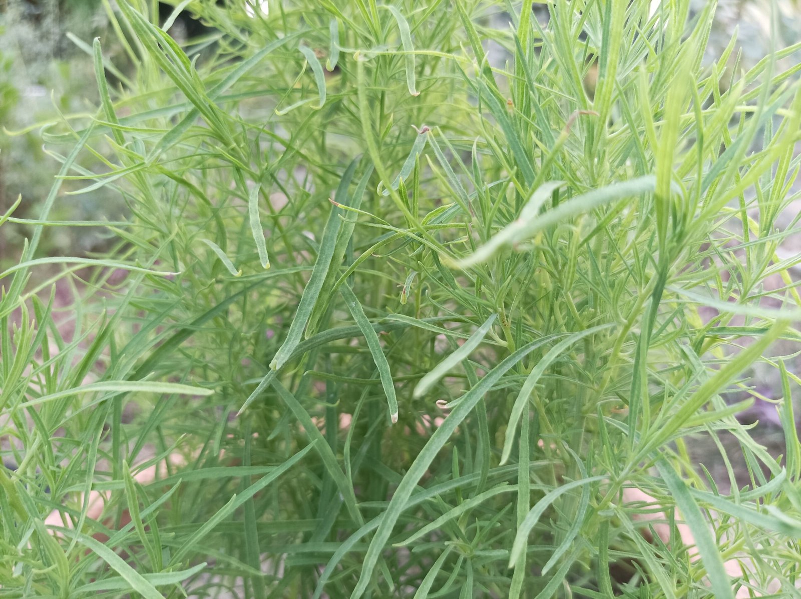 IMG 20230520 181912 scaled