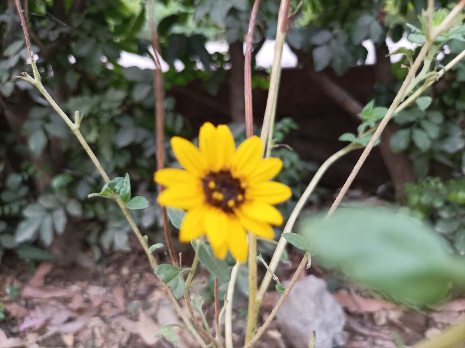 IMG 20230520 181949 scaled