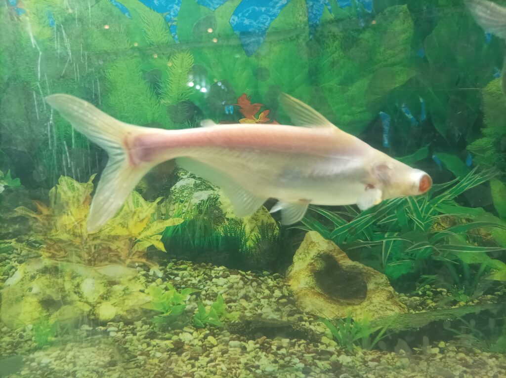 IMG 20230520 214733 scaled