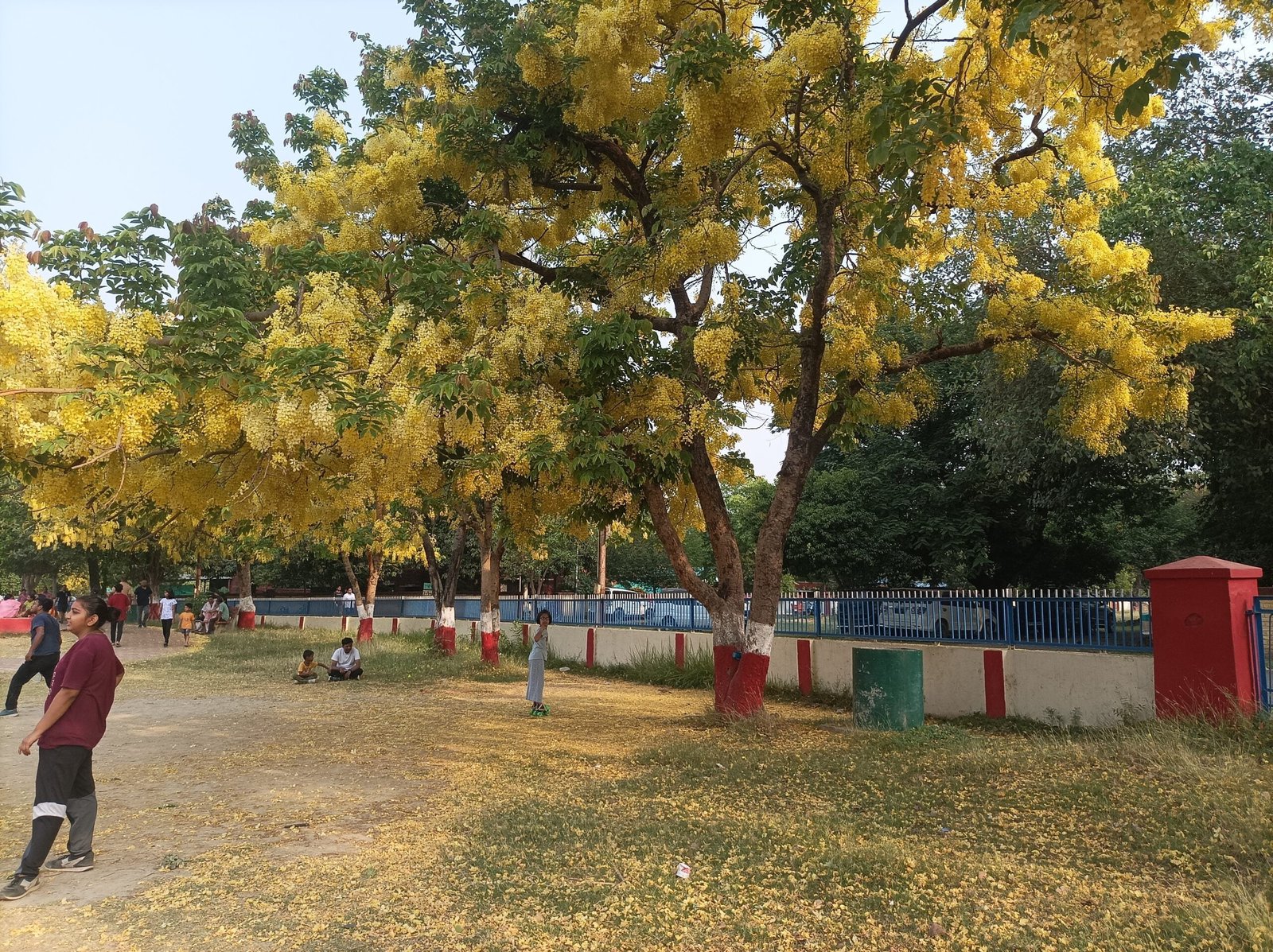 IMG 20230523 065237 scaled