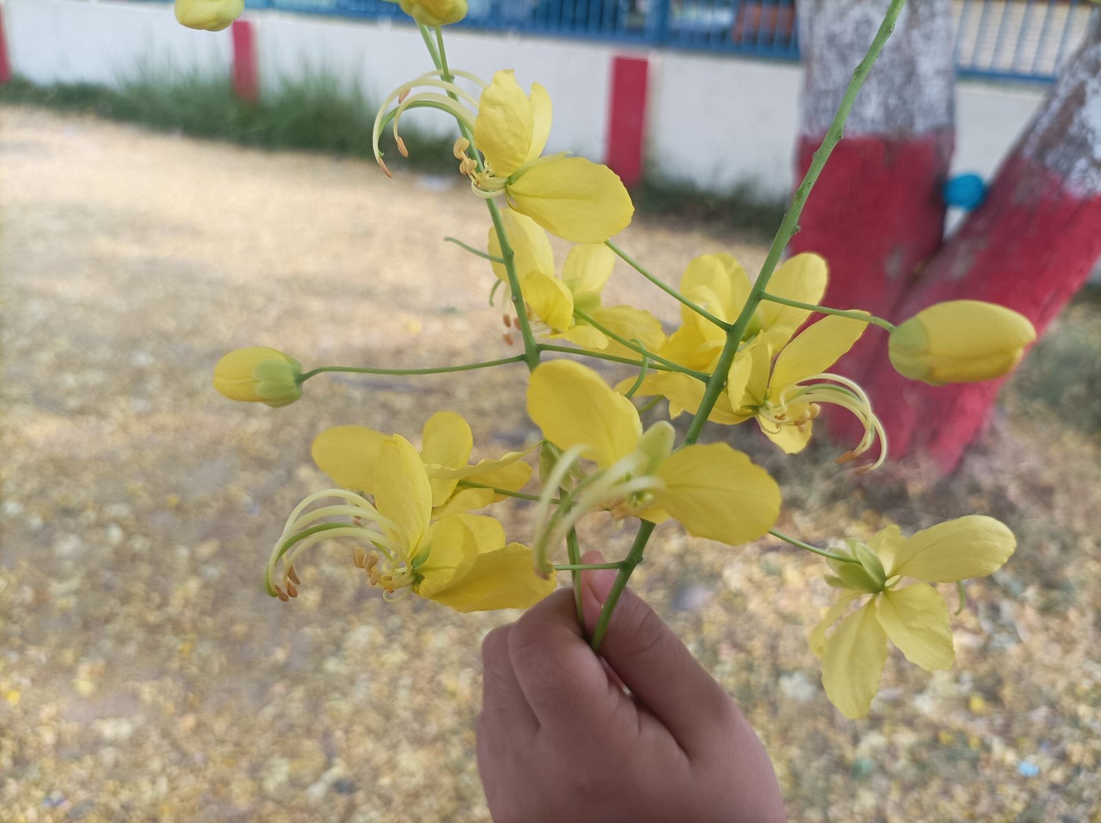 IMG 20230523 065431 scaled