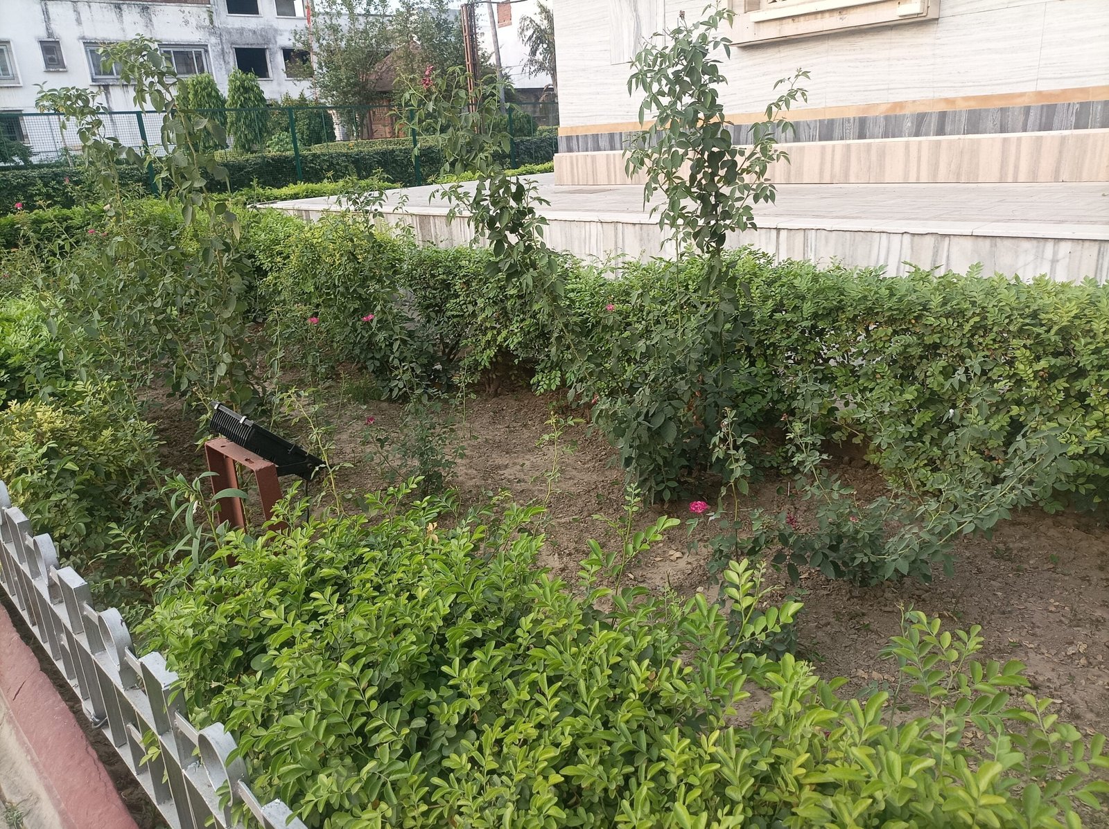 IMG 20230523 174942 scaled