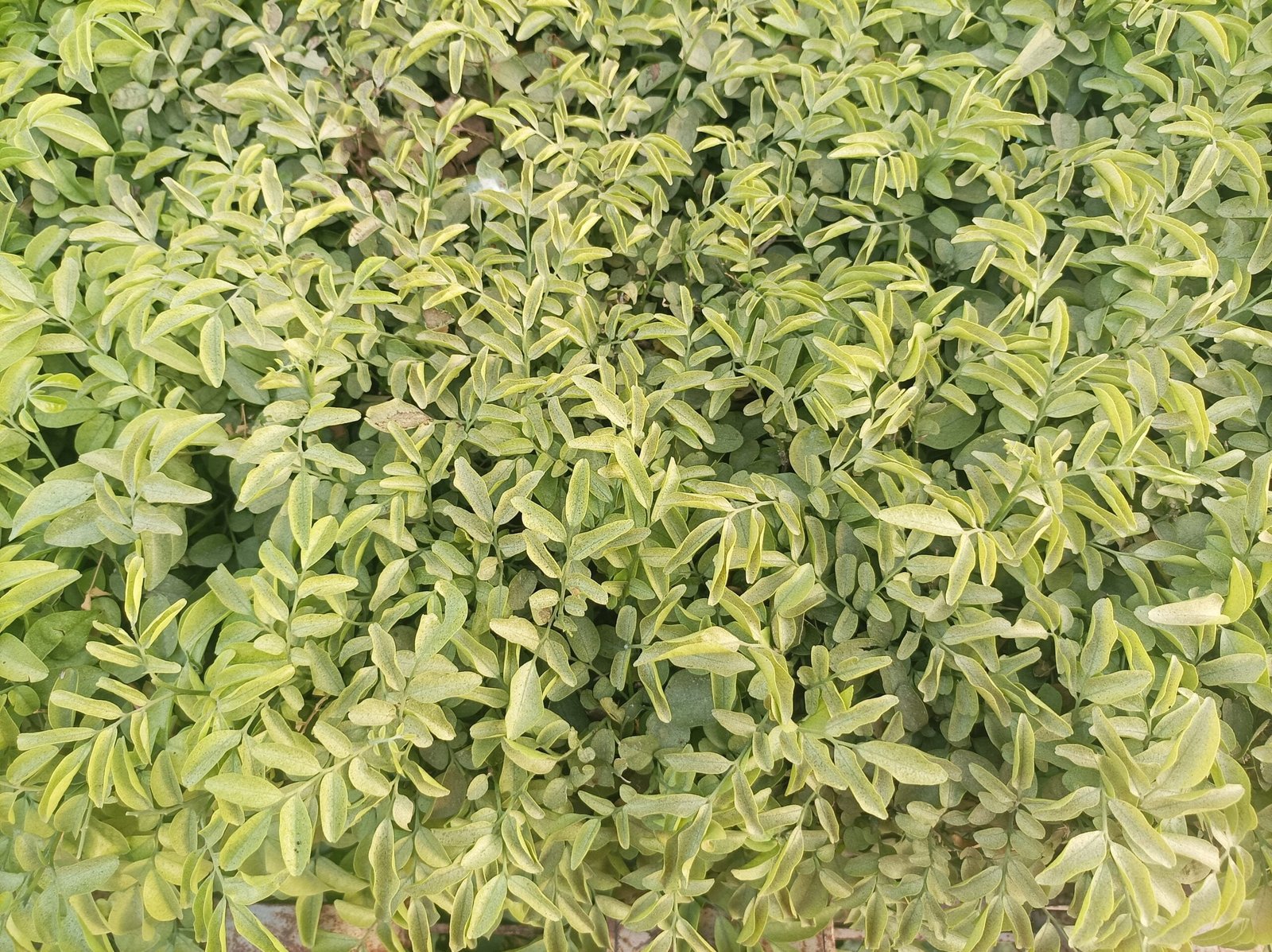 IMG 20230523 175101 scaled