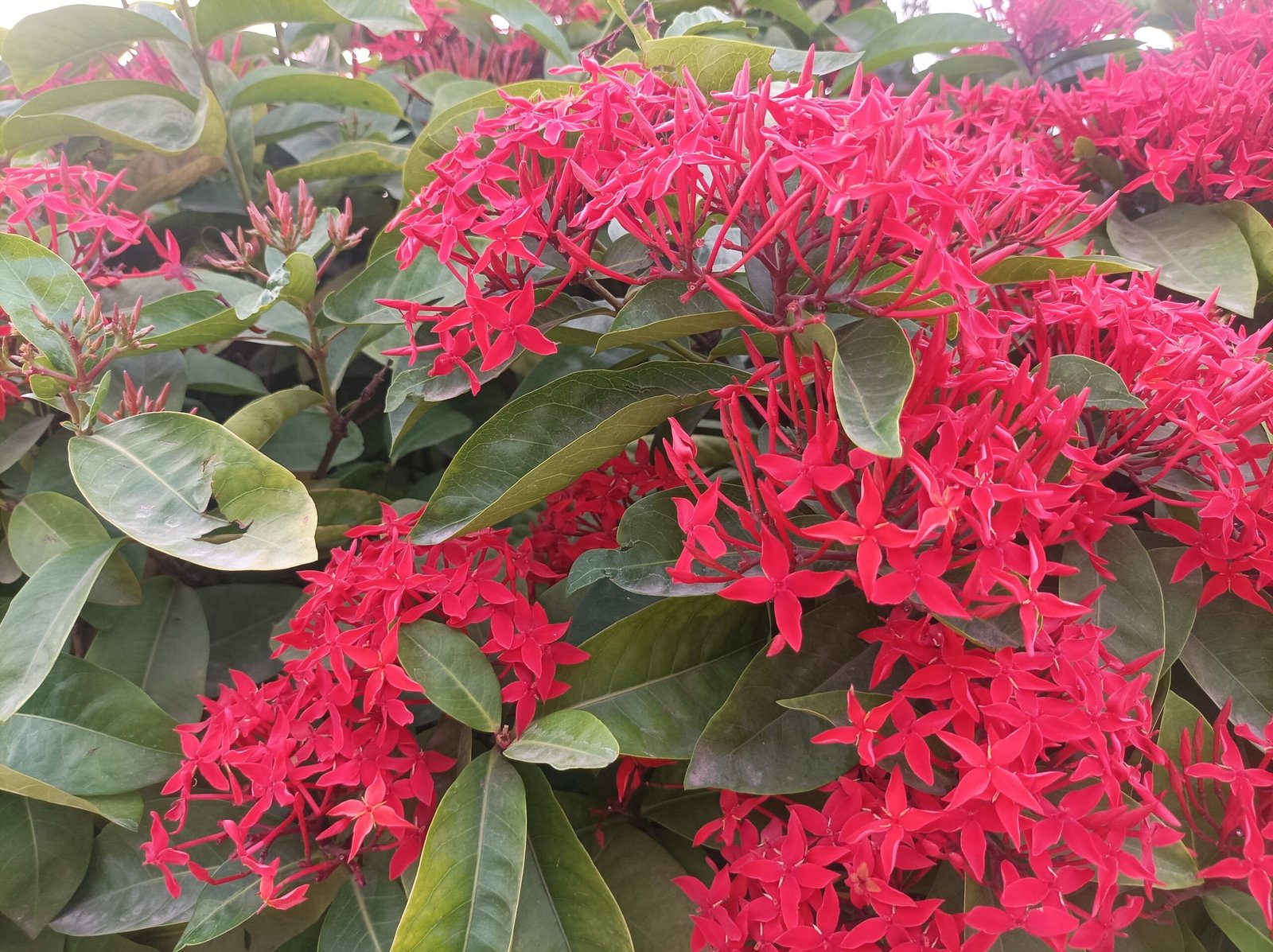 Varanasi Best Images - Varanasi Best Images Free Downloads IMG 20230523 175540 scaled