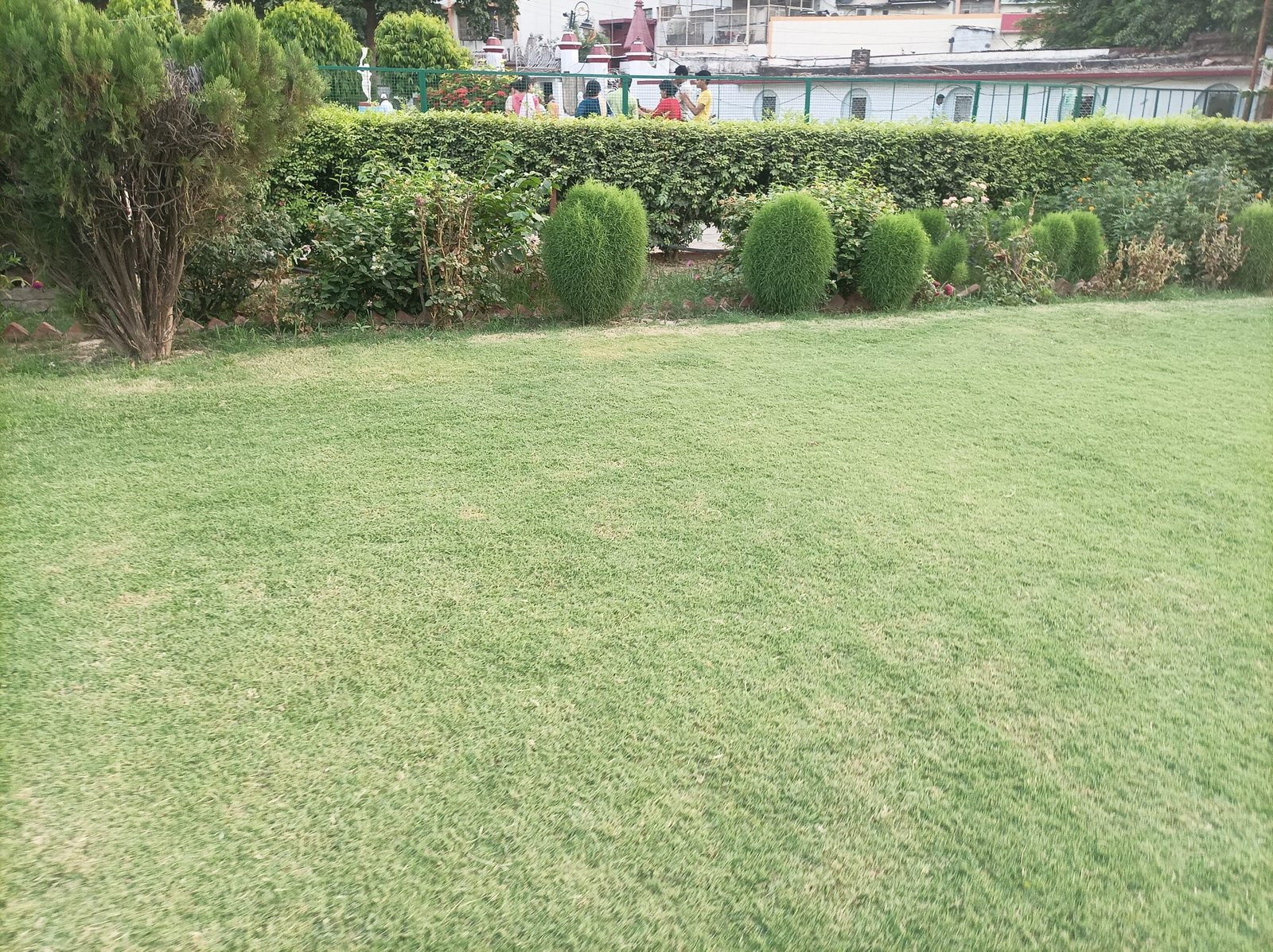 IMG 20230523 175740 scaled