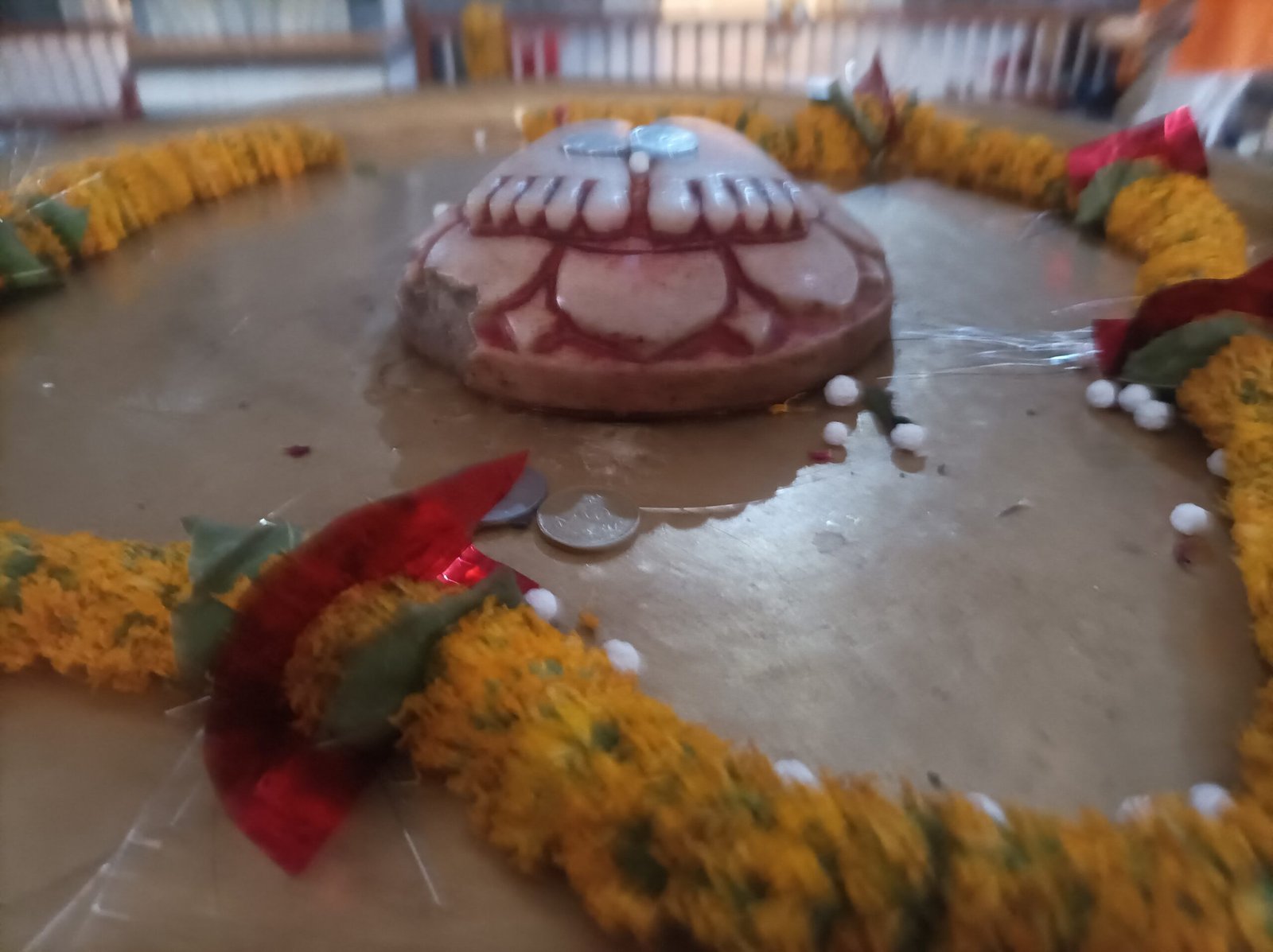 IMG 20230523 180222 scaled