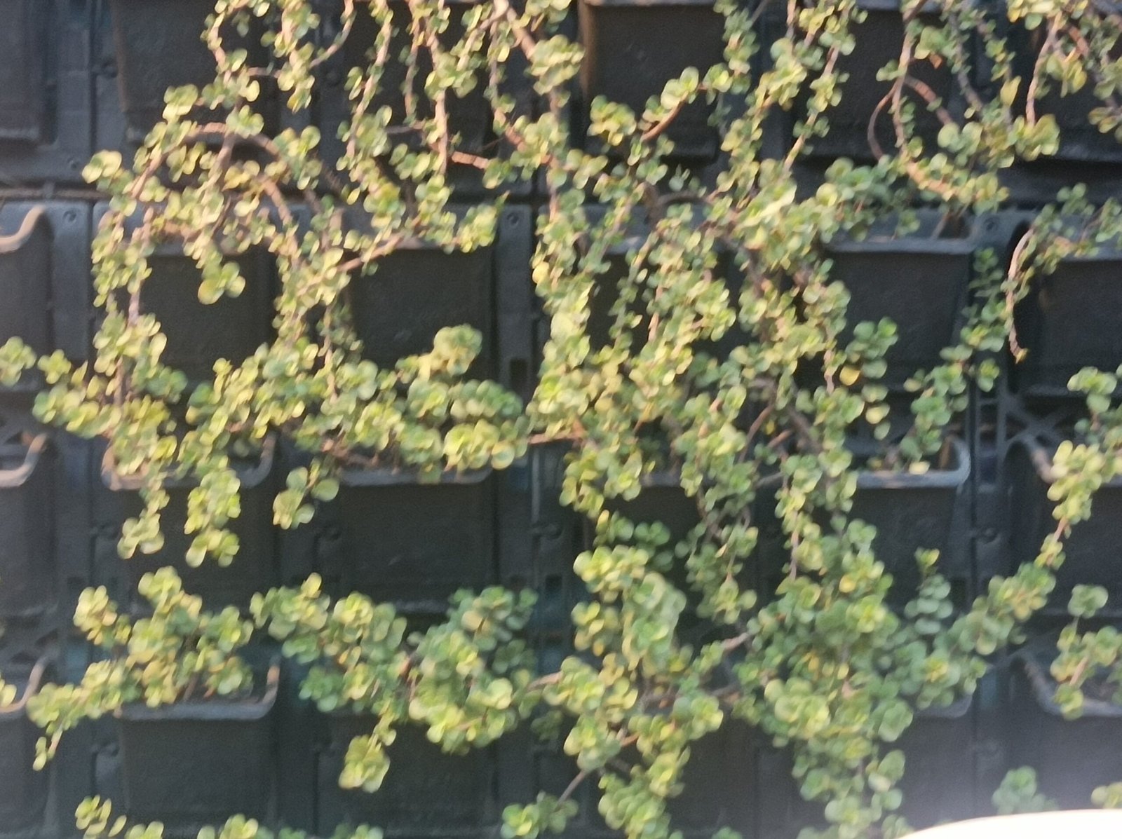 IMG 20230523 182800 scaled