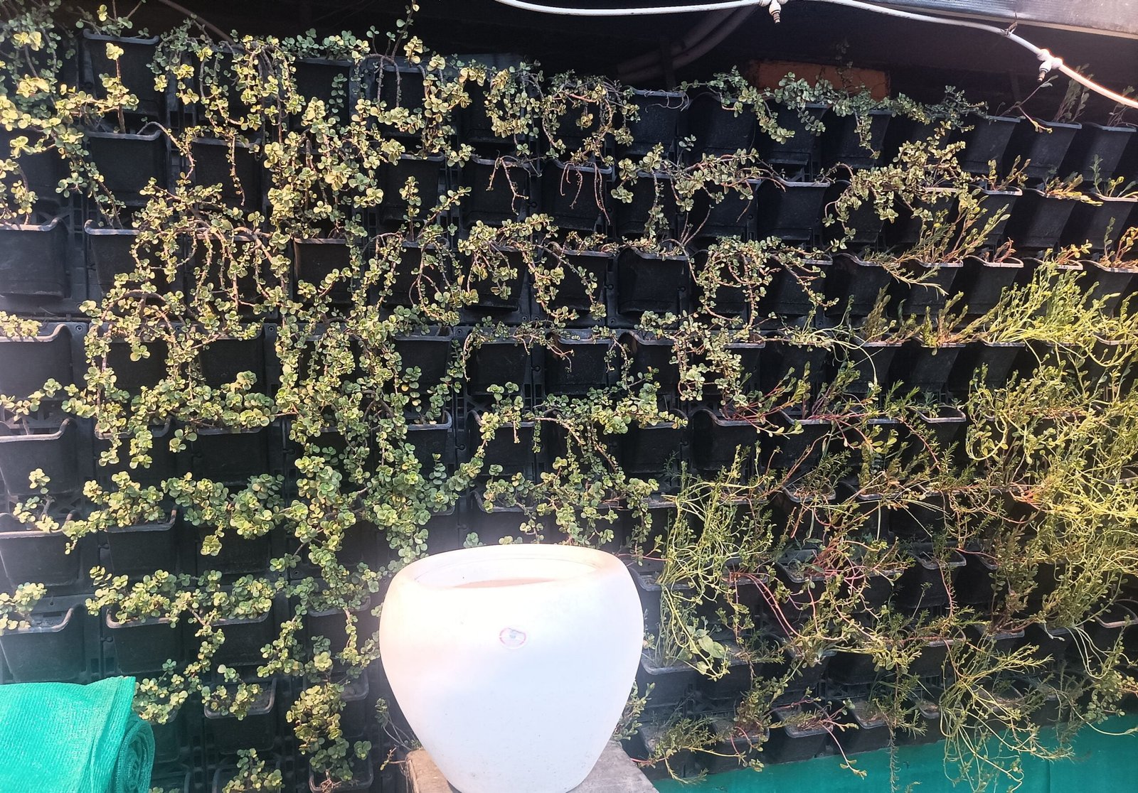 Varanasi Best Images - Varanasi Best Images Free Downloads IMG 20230523 190600 scaled