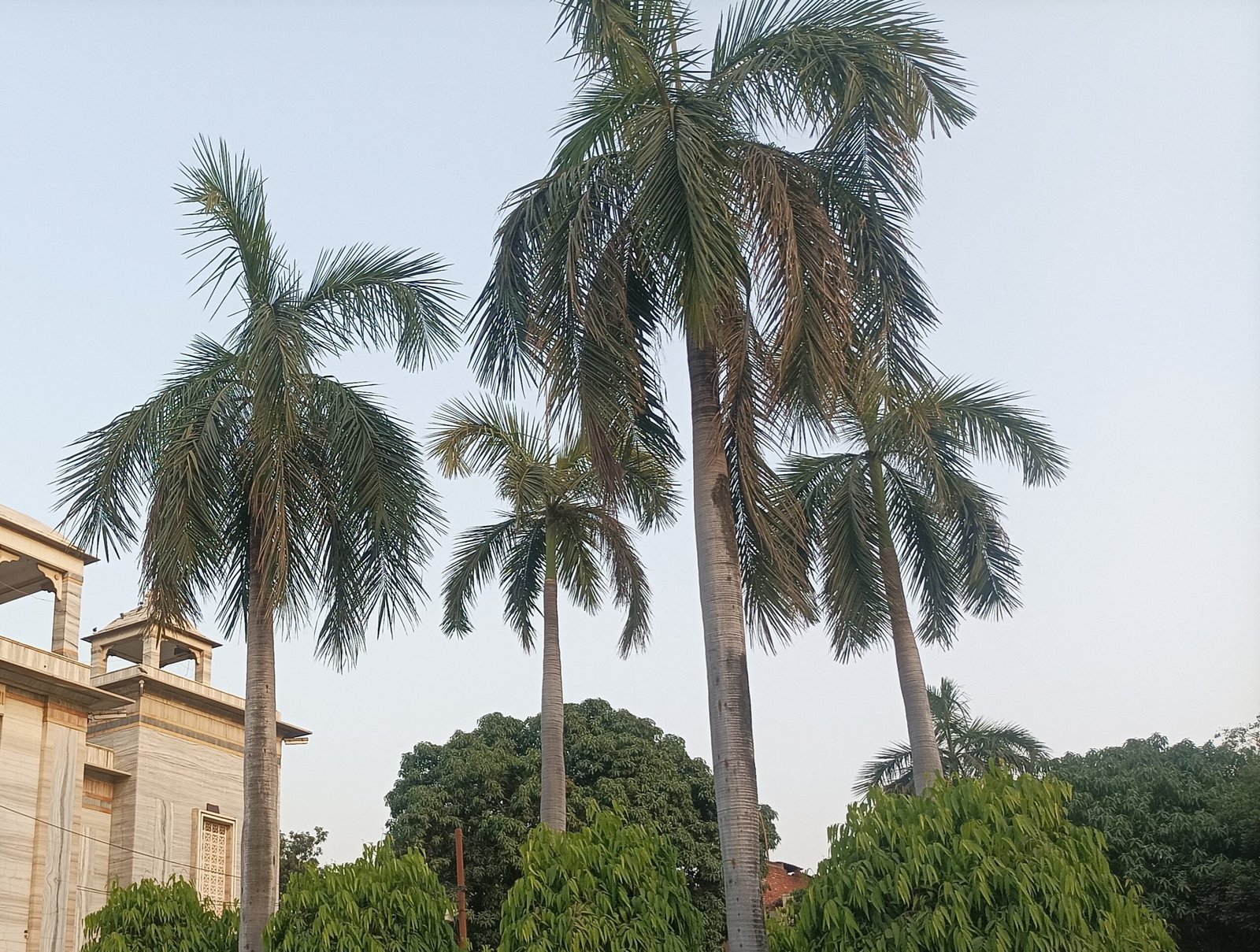 IMG 20230523 190742 scaled