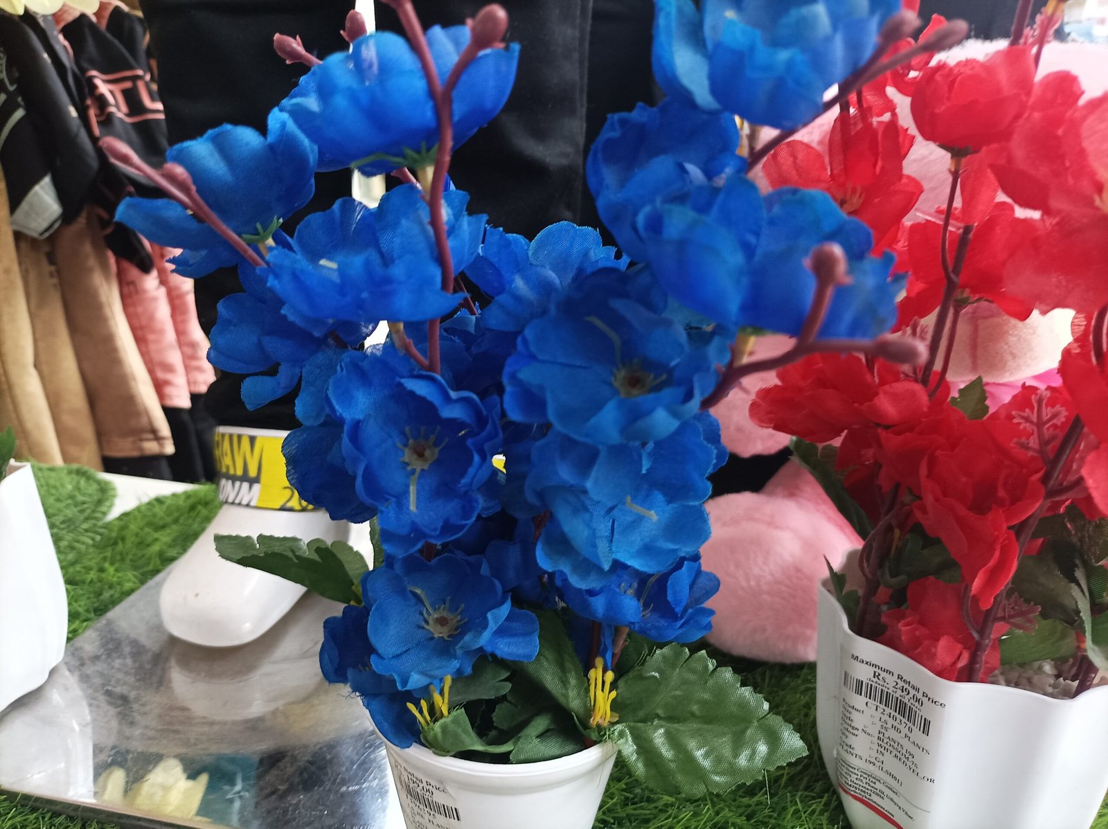 IMG 20230524 182030 scaled