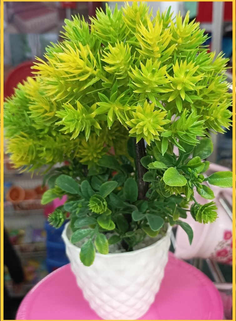 Top 10 Famous Plant Images Varanasi best - Varanasi Best Images Free Downloads Flower Pot Plant image Varanasi best