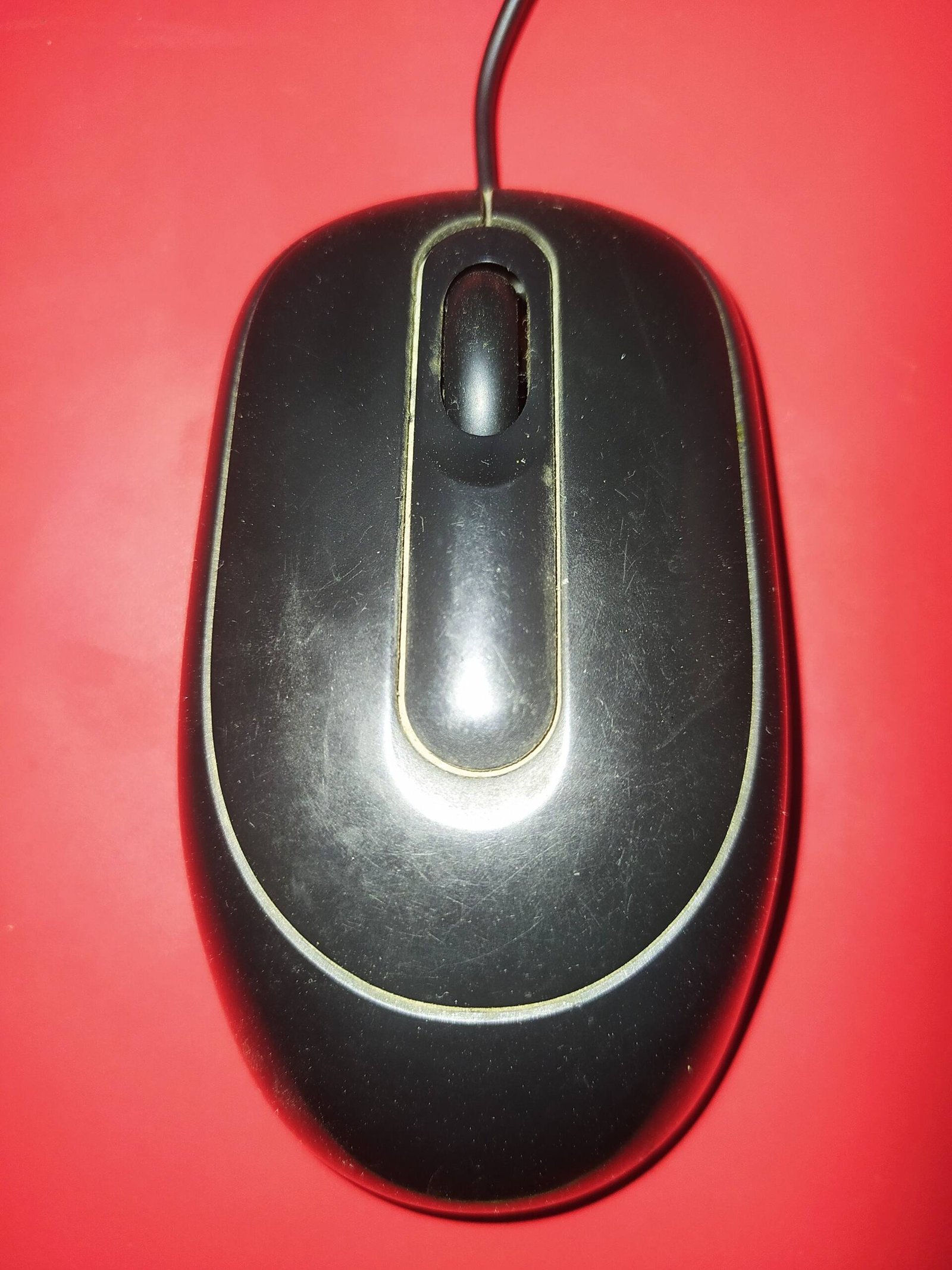 IMG 20230527 081311 scaled