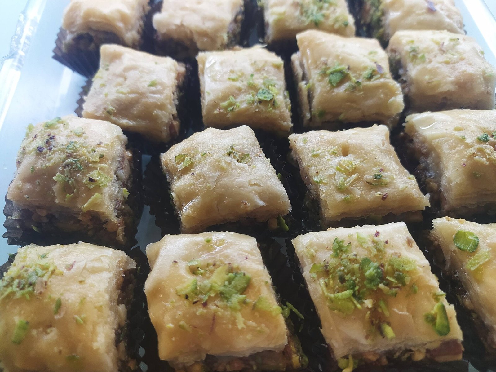 IMG 20230527 215619 scaled