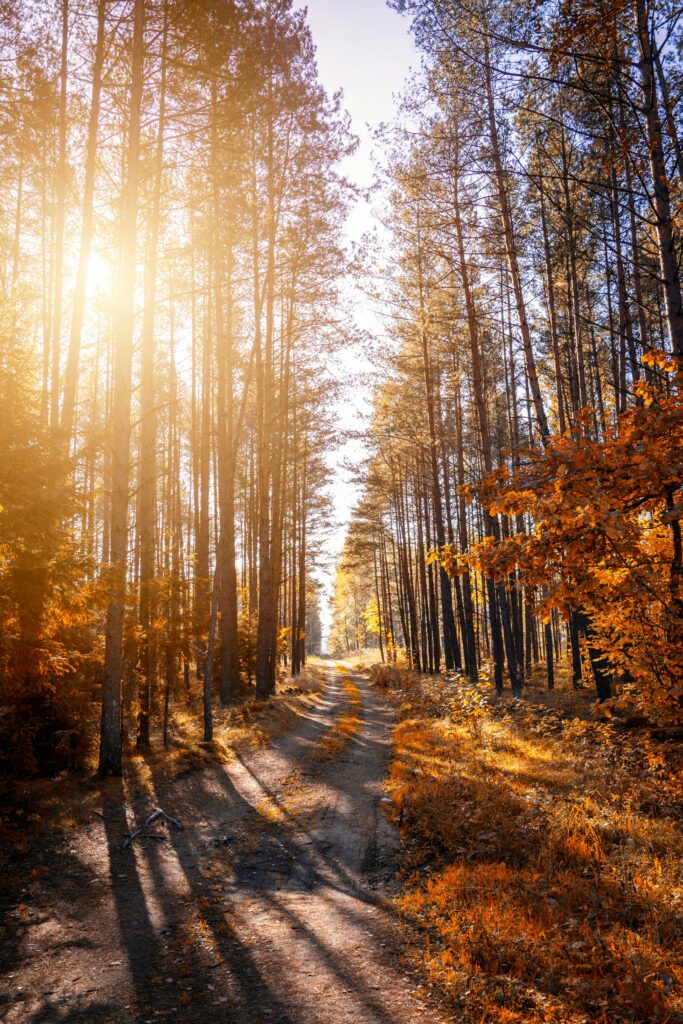 Nature