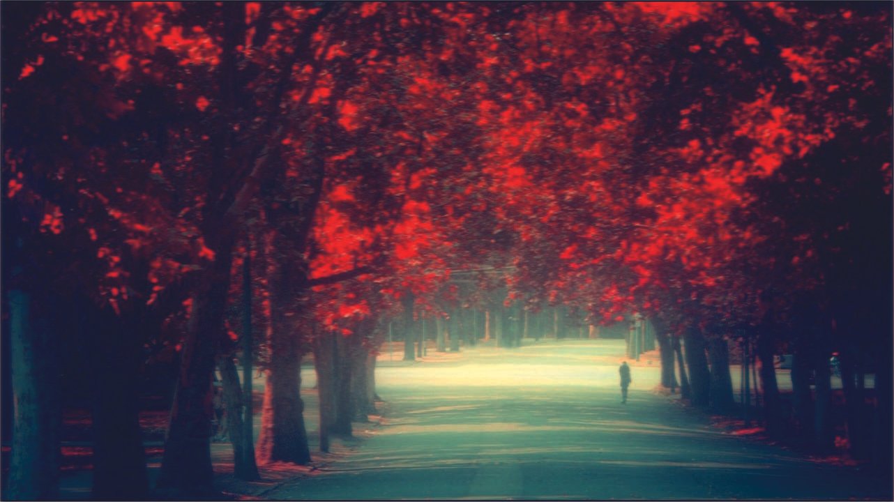 Wallpaper Background Image 1