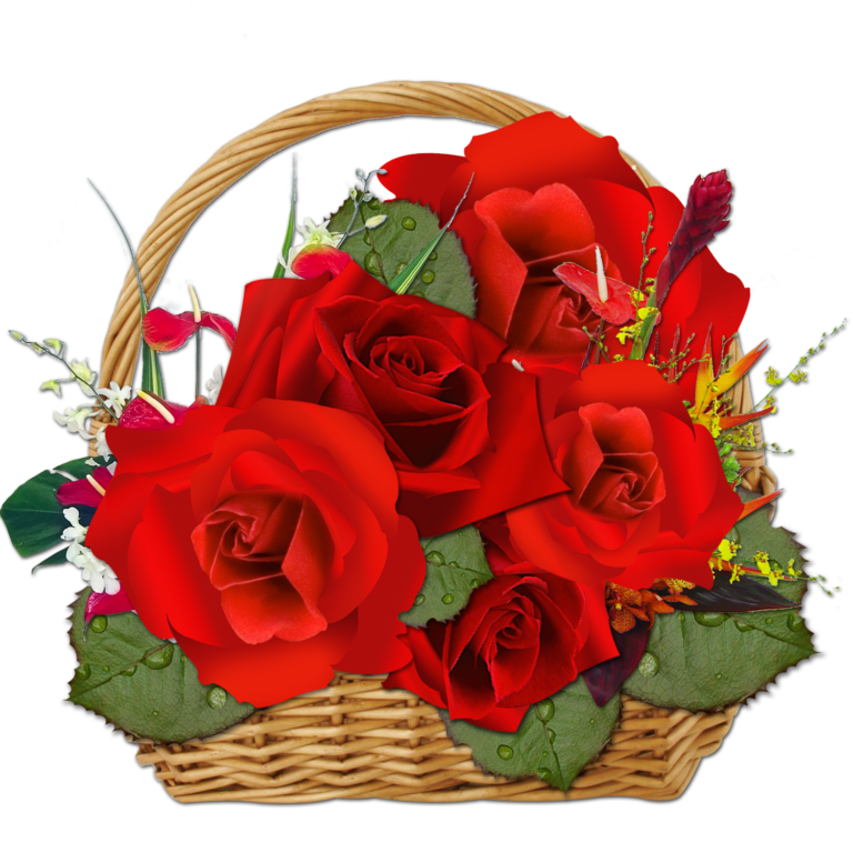 Wishes Flower Transparent Image Varanasi Best 18 - Varanasi Best Images Free Downloads