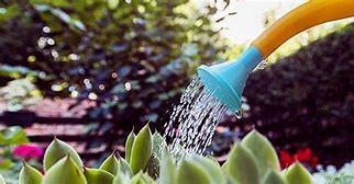 water
